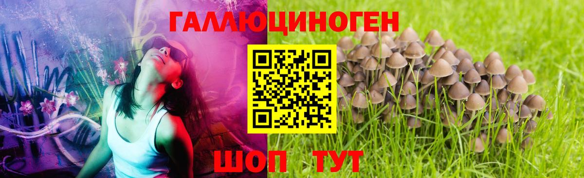 Галлюциногенные грибы мицелий  Вход с VPN  Балашов 